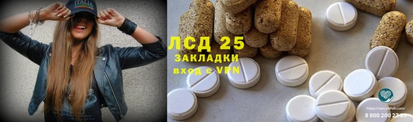 тгк Пролетарск