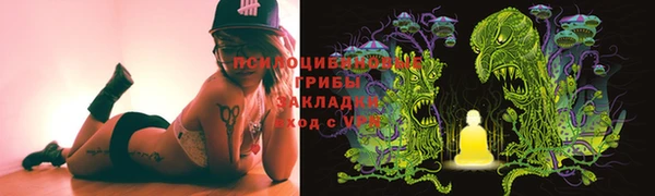хмурый Алексеевка