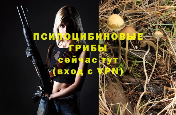 прущий лед Алексин