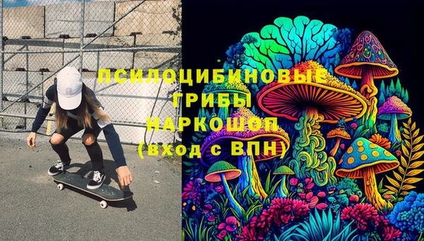хмурый Алексеевка