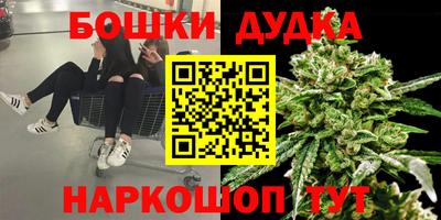 гидра Урюпинск