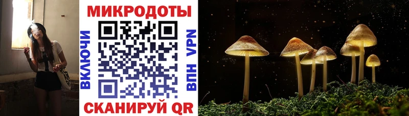 Галлюциногенные грибы мицелий  Кондопога 