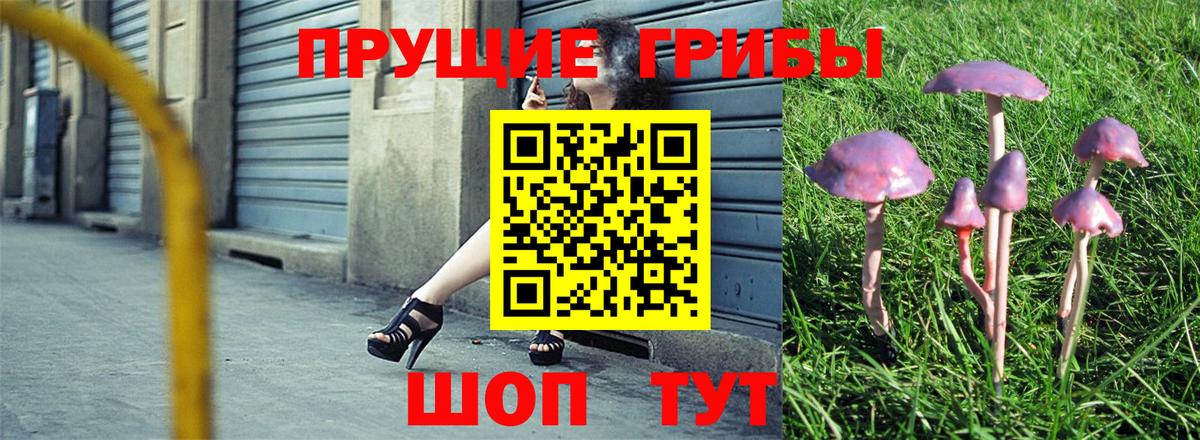 Кондопога  Псилоцибиновые грибы Cubensis  Вход с VPN  продажа наркотиков  Псилоцибиновые грибы Magic Shrooms 